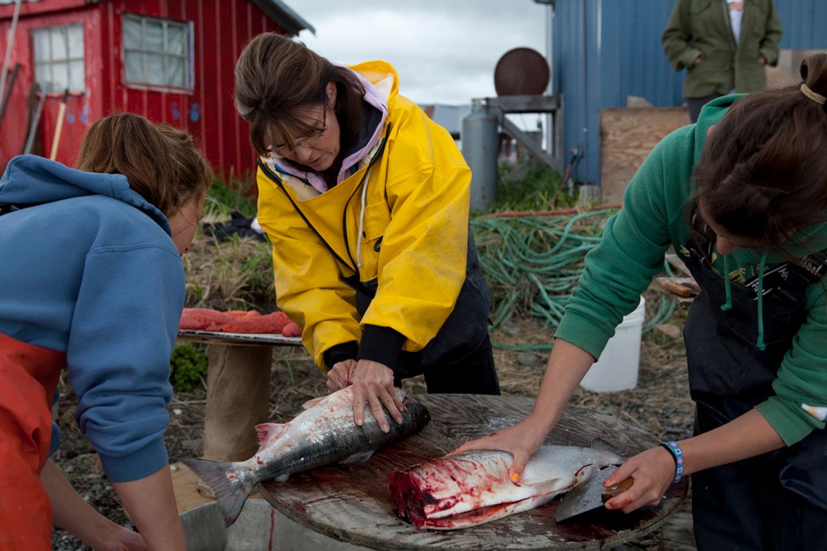 DILLINGHAM, ALASKA -JULY 05 2010: Sarah Palin guts and cuts salmon with cousin Ina Bouker, in red bandana, in Ekok, a small fishing village . Bouker spends the summer in Ekok,,  fishing, cutting and drying salmon.   (Gilles Mingasson/getty Images)