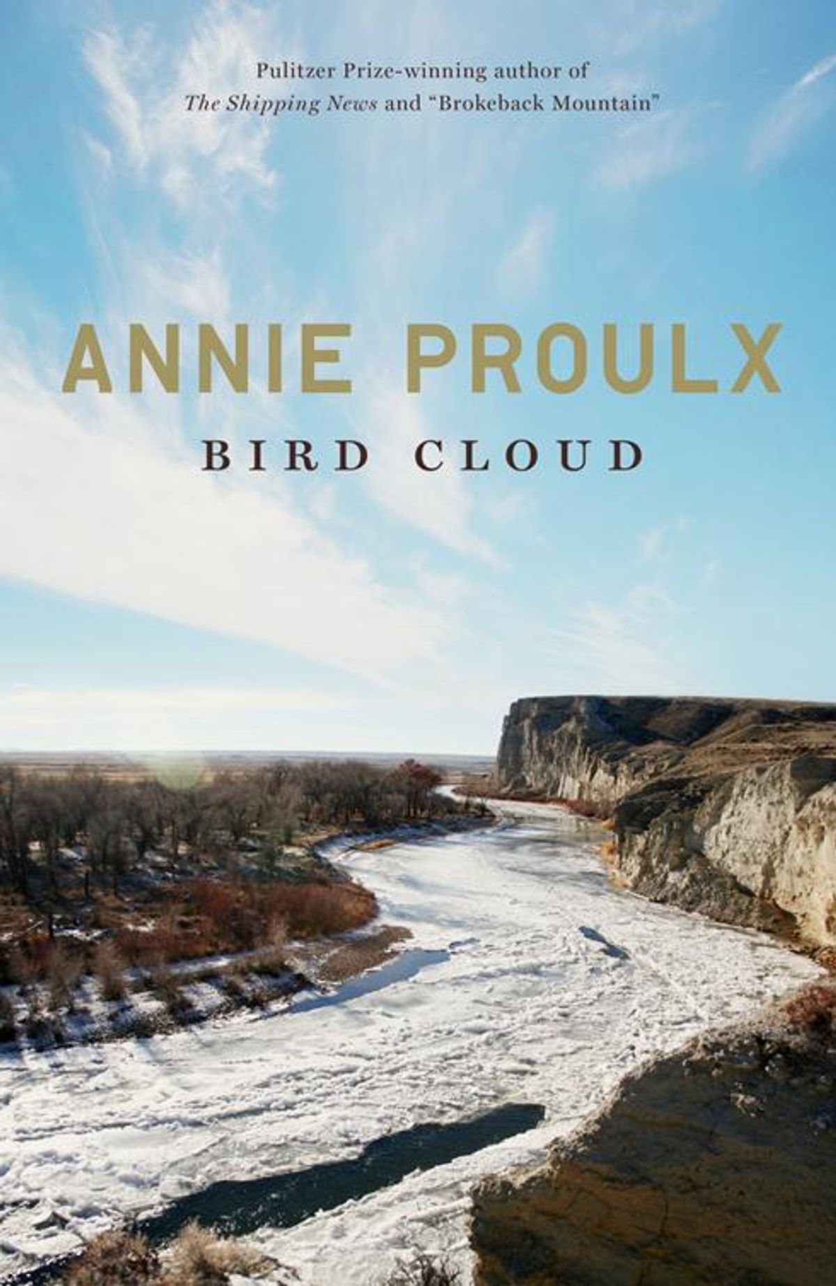 "Bird Cloud" by Annie Proulx