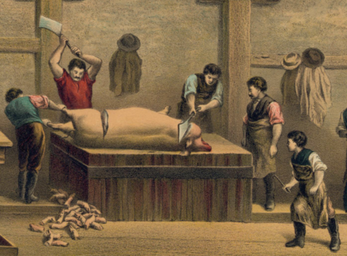 A depiction of pork butchering in Cincinnati from an 1873 print.   