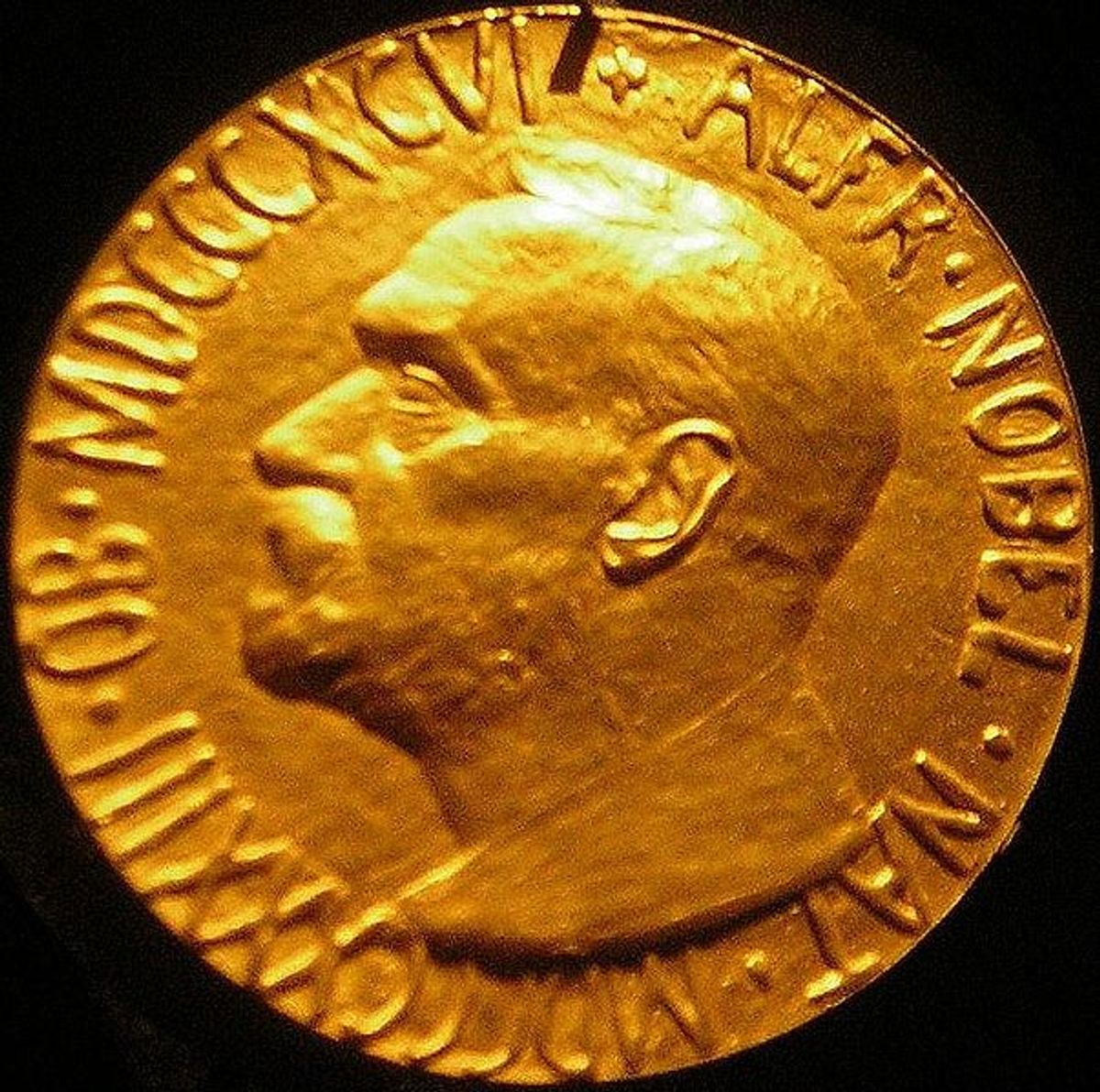 The Nobel Peace Prize Medal, which will be awarded to one of 241 nominees in October.  