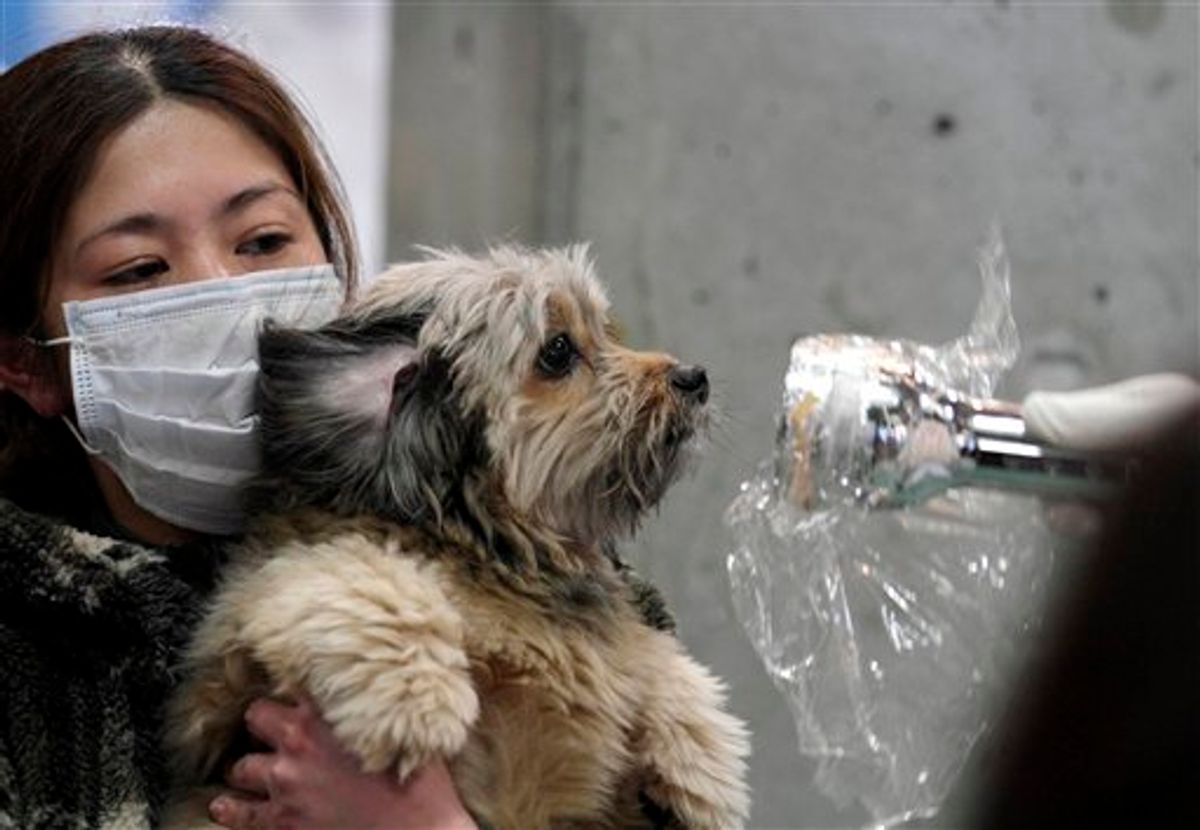 A woman holds her dog as they are scanned for radiation at a temporary scanning center for residents living close to the quake-damaged Fukushima Dai-ichi nuclear power plant Wednesday, March 16, 2011, in Koriyama, Fukushima Prefecture, Japan. (AP Photo/Gregory Bull) (AP)