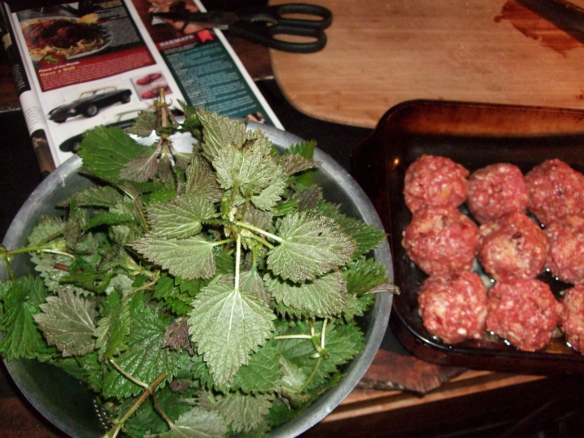 Stinging nettles and meatballs