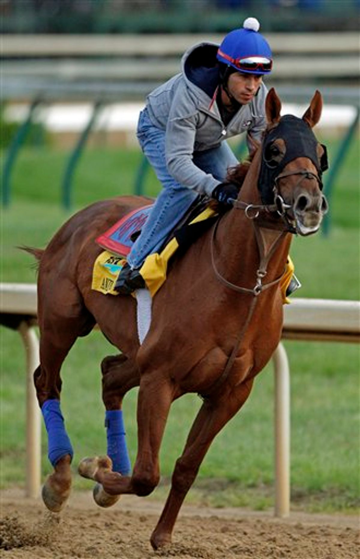 Exercise rider James Slater takes Kentucky Derby entrant Animal Kingdom for a workout at Churchill Downs Friday, May 6, 2011, in Louisville, Ky. (AP Photo/Denis Paquin) (AP)