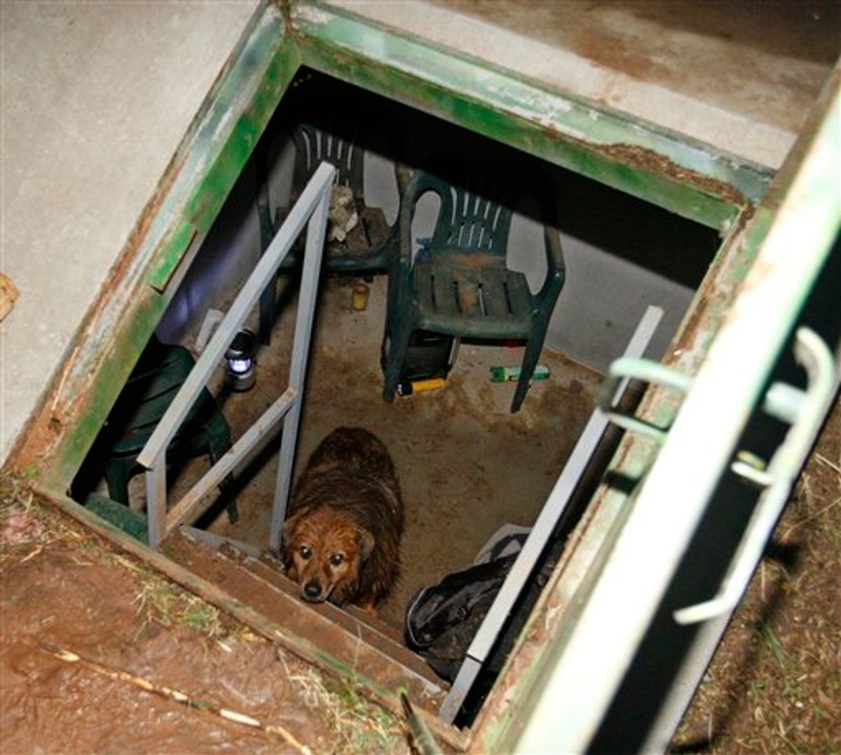 Duke looks up from a storm shelter at the Robertson home in Piedmont, Okla., Tuesday, May 24, 2011. Duke was actually in the bathtub during the start of the tornado, and later found running in a pasture.  Violent thunderstorms roared across middle America on Tuesday, killing seven people in two states, with several tornadoes touching down in Oklahoma. (AP Photo/Sue Ogrocki) (AP)