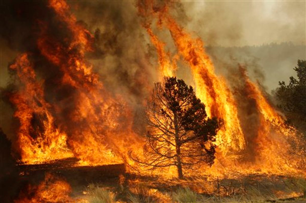 A forest burns during a backburn operation to fight the Wallow Fire in Nutrioso, Ariz., Friday, June 10, 2011.    A massive wildfire in eastern Arizona that has claimed more than 30 homes and forced nearly than 10,000 people to evacuate is likely to spread into New Mexico soon, threatening more towns and possibly endangering two major power lines that bring electricity from Arizona to West Texas.(AP Photo/Marcio Jose Sanchez)  (AP)