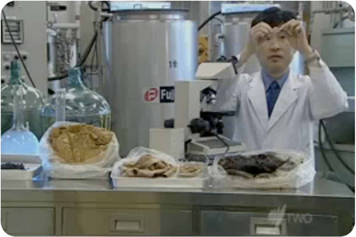 A screengrab from a video about the sewage-to-meat project.