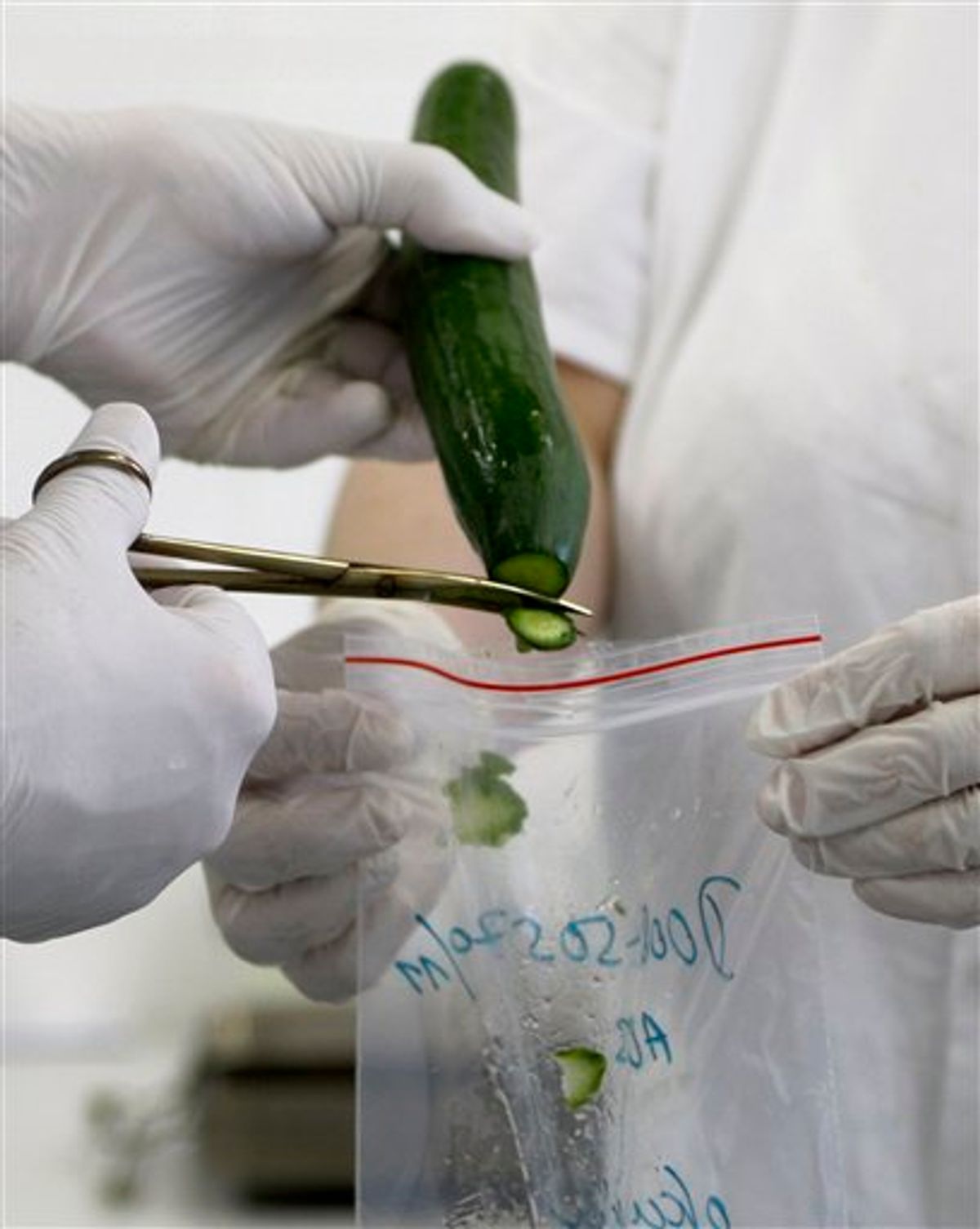 Chief of the laboratory in research into the Escherichia Coli bacterium at the Brno research institute  Pavel Alexa, left, and his assistant Gabriela Glocknerova, right, take samples from a cucumber for a molecular biological test in Brno, Czech Republic, Wednesday, June 1, 2011. The ongoing outbreak of E. coli has claimed 16 people and around 1500 infected across Europe. The laboratory is testing the vegetables for the Czech market. (AP Photo/Petr David Josek) (AP)