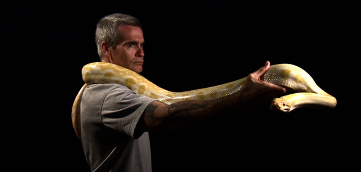 Henry Rollins with a burmese python in Los Angeles, CA.
(Photo Credit: Â© NGT)  (Ngt)