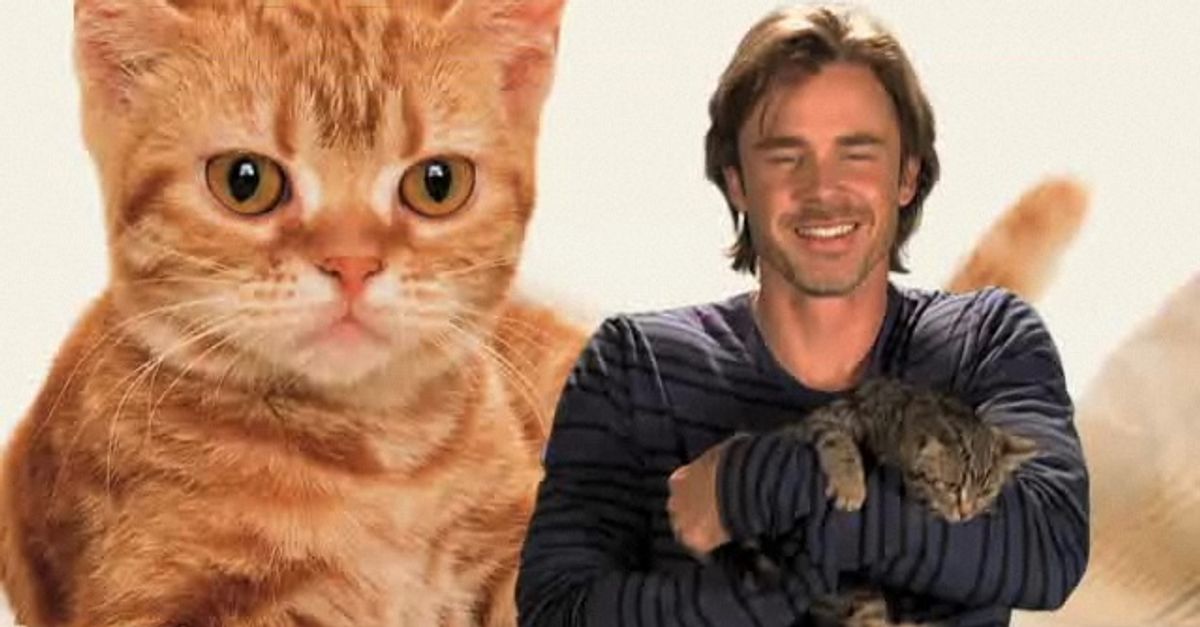 Sam Trammell loves kittens!  
