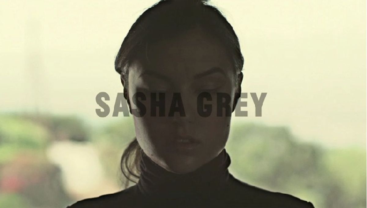 Sasha Grey. Is. Art.