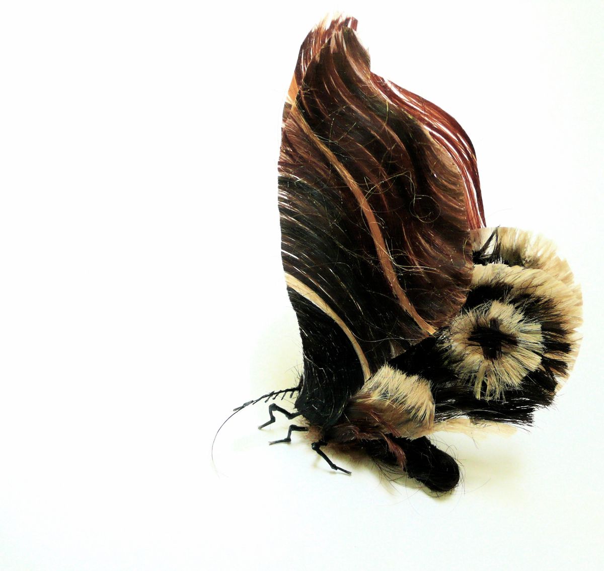A moth made from human hair and glue. (Artist: Adrienne Antonson)