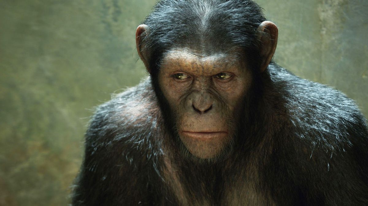 A still from "Rise of the Planet of the Apes"  