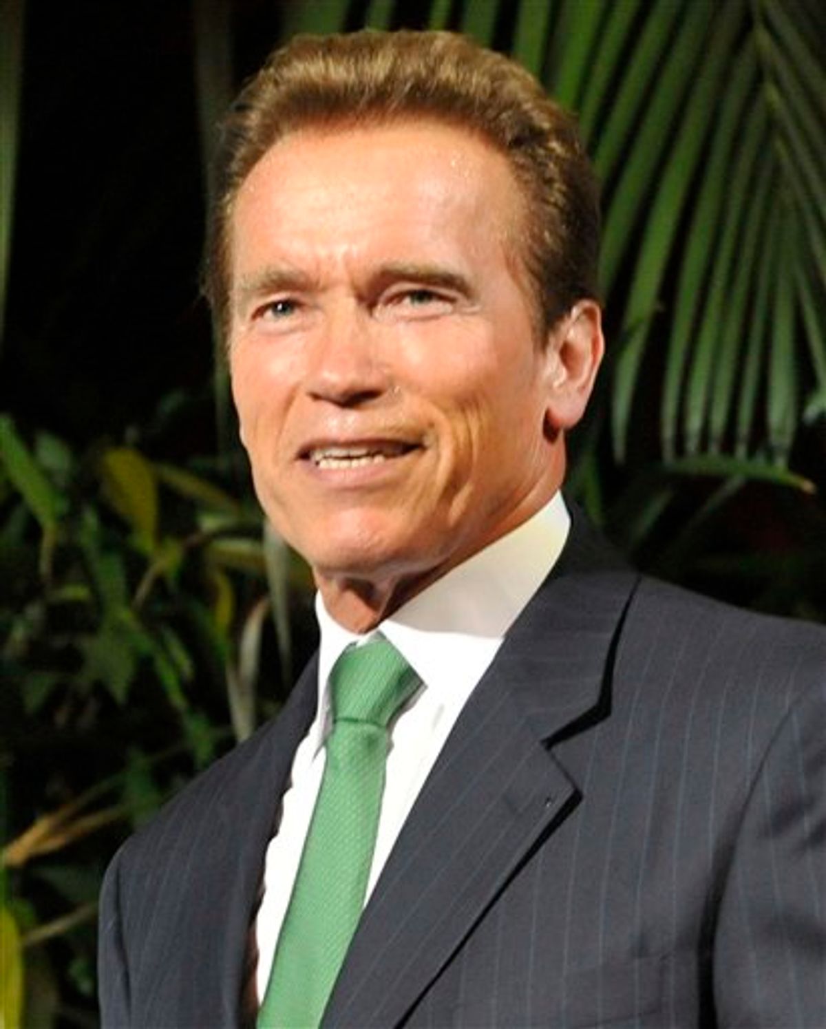 FILE - In this June 21, 2011 file photo, former Gov. of California Arnold Schwarzenegger attends the Energy Forum 2011 in Vienna, Austria. Schwarzenegger has been cast in a movie called "Last Stand". (AP Photo/Bela Szandelszky, file) (AP)