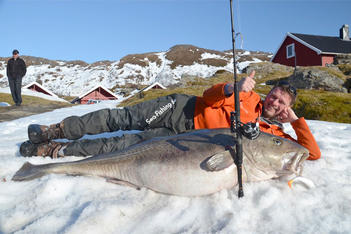 Pic of the day: Angler lands 103-pound cod