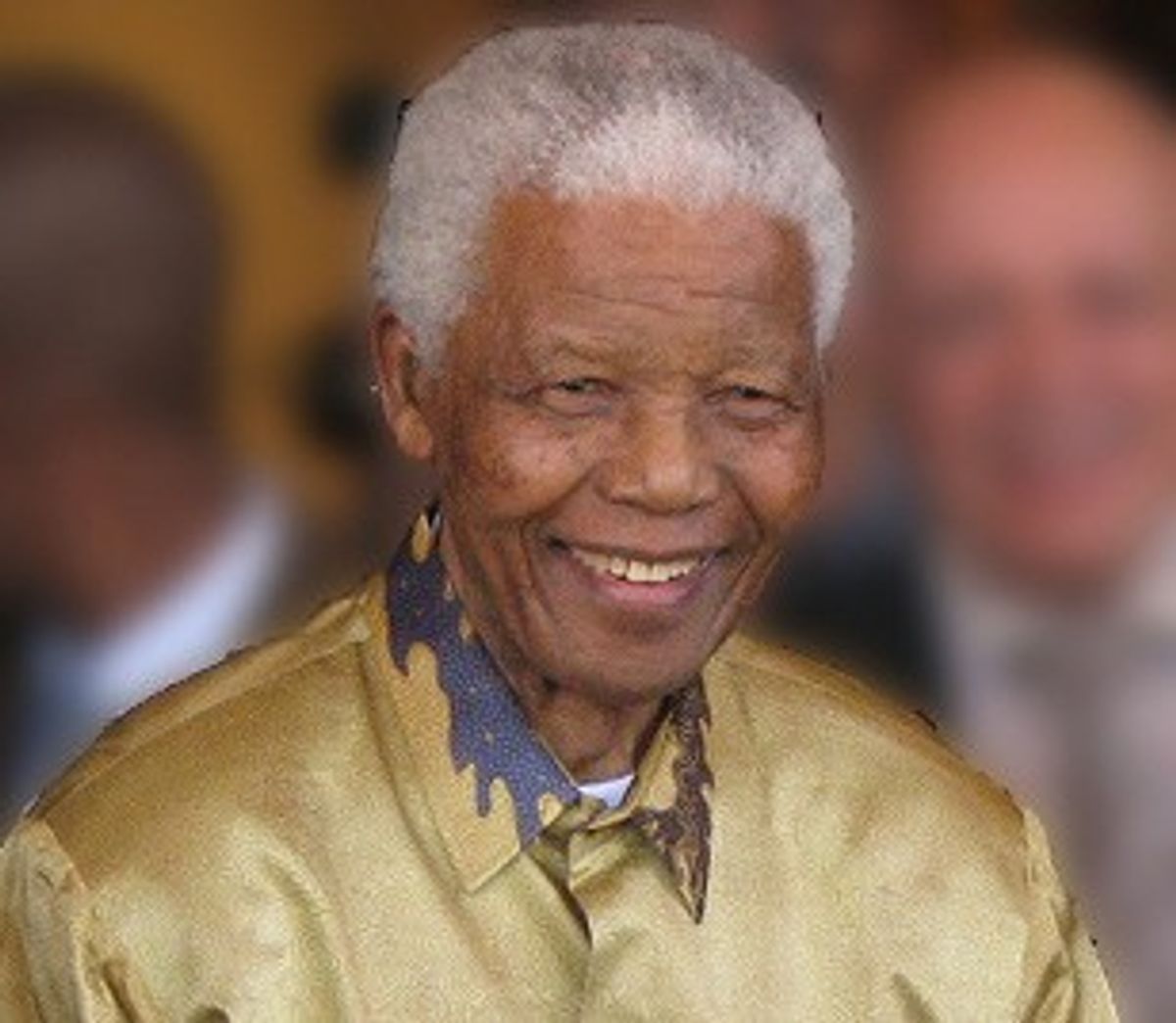 Nelson Mandela in 2008          (Wikimedia)