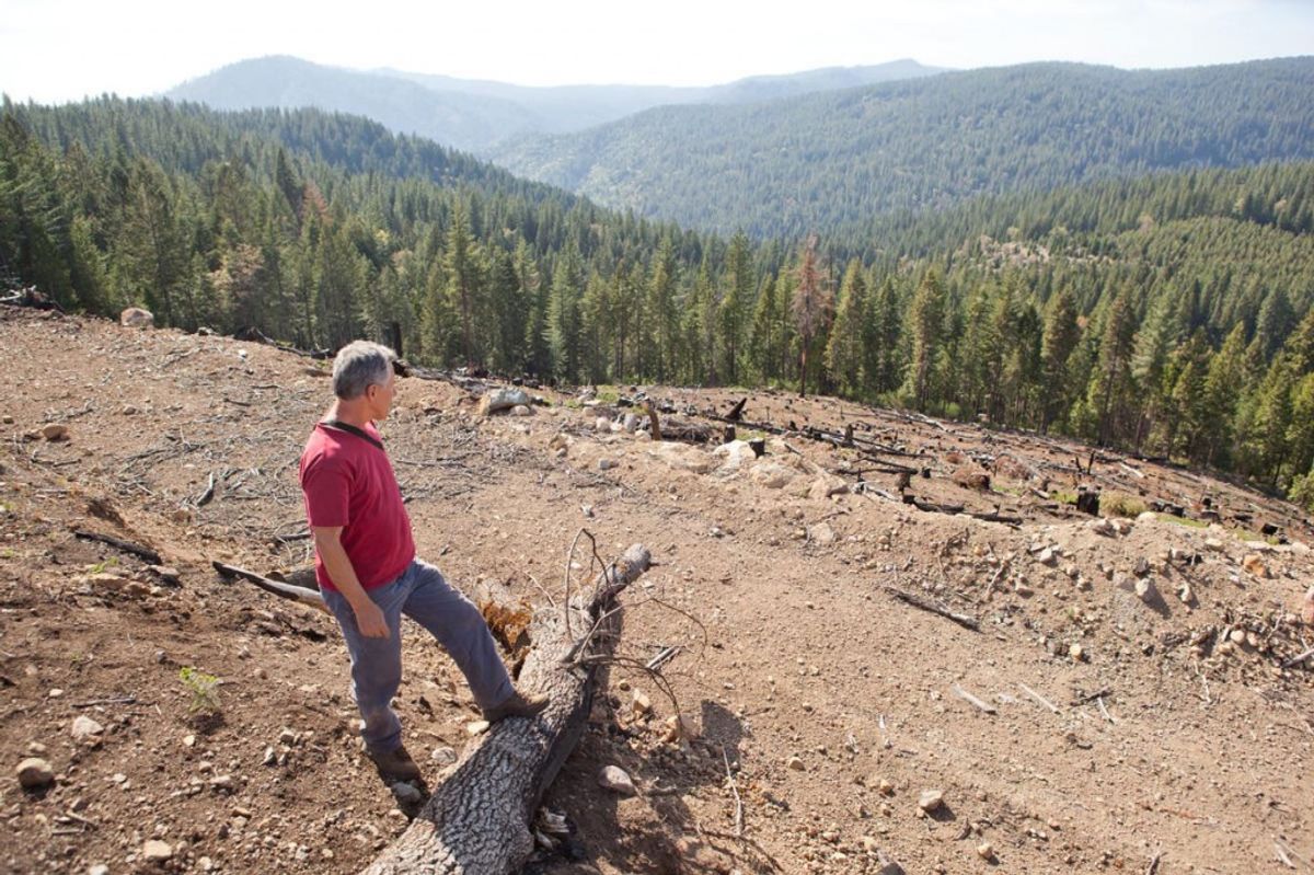For environmentalists like John Buckley, who finds clear signals of climate change in the Sierra Nevada's rapidly receding snow line, the idea of timber companies that clear cut forests being allowed to sell offsets is worrisome. (Ian Umeda // Public Press)