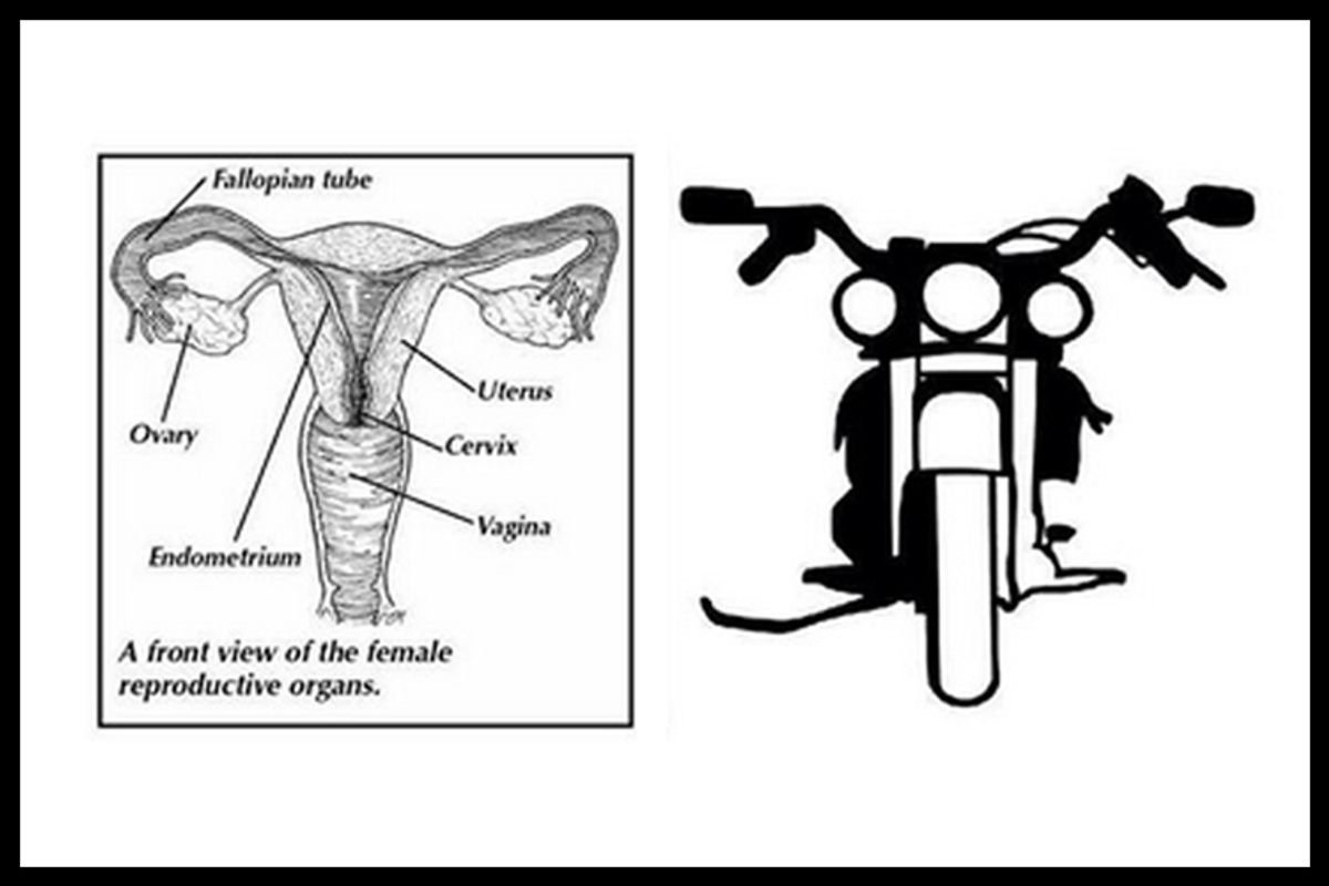 Vagina Motorcycle!   (Ann Ayers)