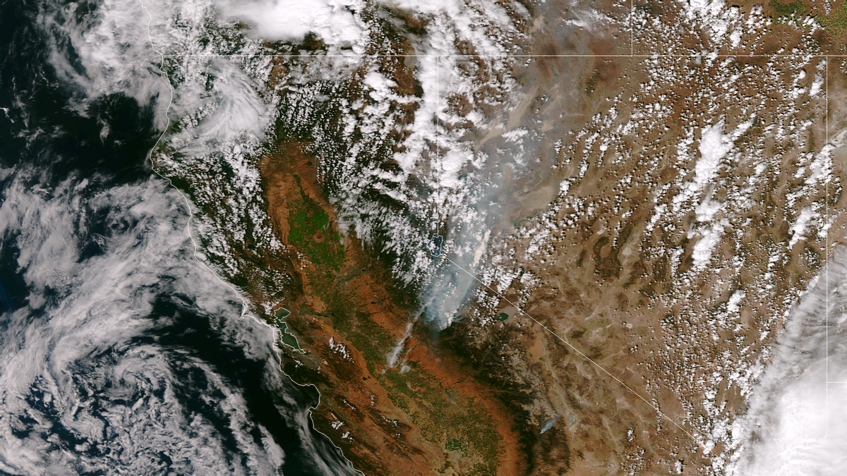 A satellite image of the Rim Fire taken on Aug. 25, 2013      (NASA/NOAA)