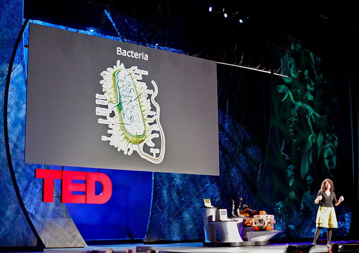 Bonnie Bassler talking at TED (Wikimedia Commons)