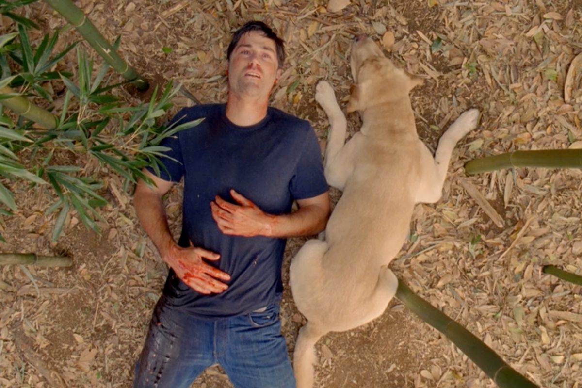 A scene from "Lost"    