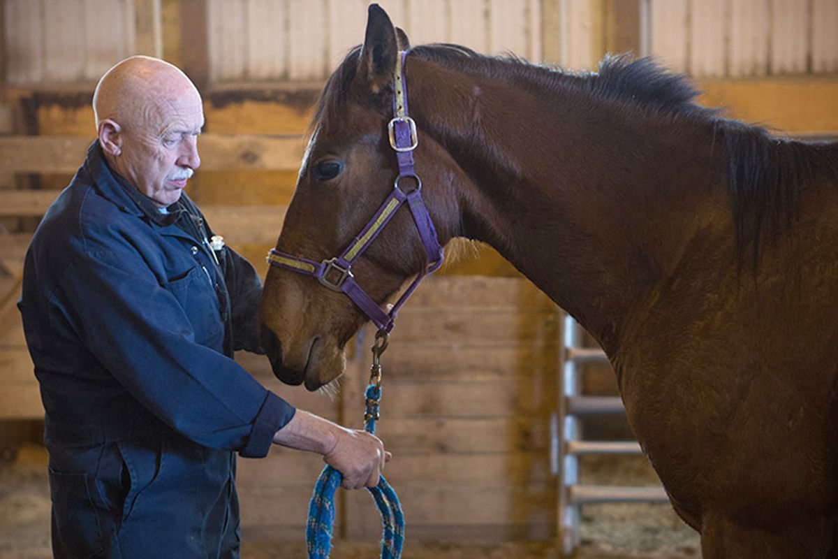 Dr. Pol standing with a horse as it dozes off from tranquilizer.     (NGC/Michael Stankevich)
