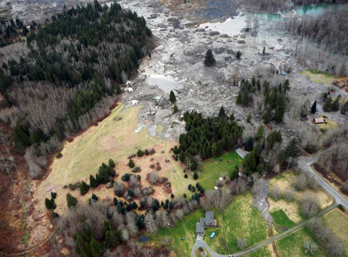 This March 23, 2014 photo, made available by the Washington State Dept of Transportation shows a view of the damage from Saturday's mudslide in Oso, Wash. (AP Photo/Washington State Dept of Transportation) 