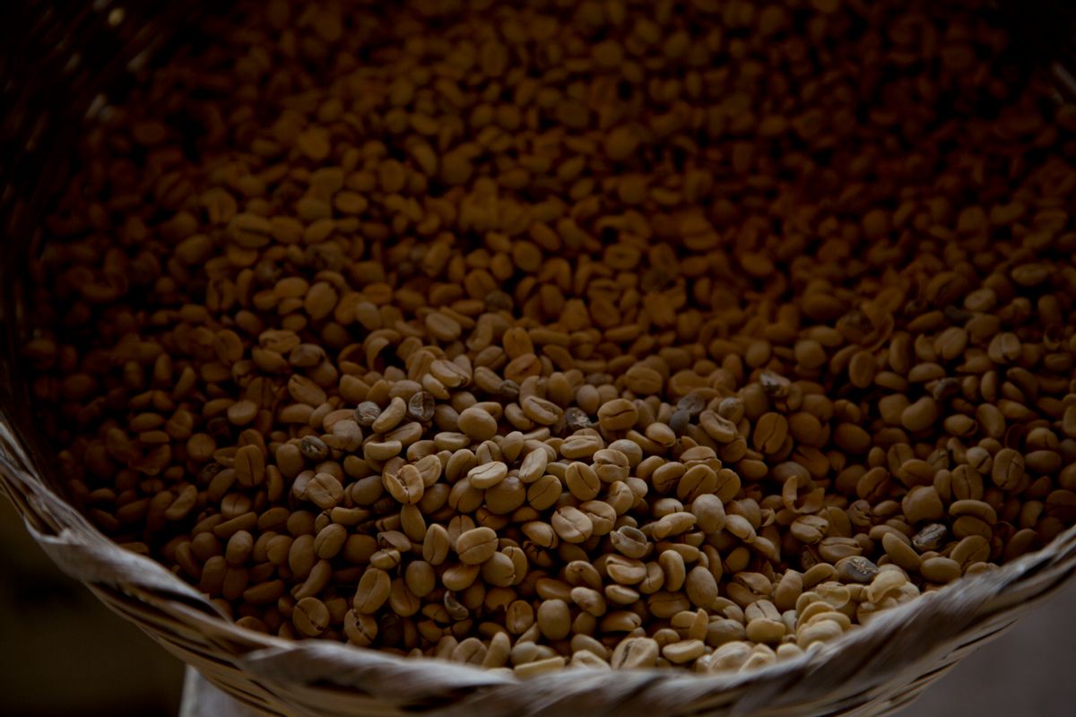 In this May 22, 2014 photo, coffee beans harvested last year are stored at a coffee plantation in Ciudad Vieja, Guatemala.  The regions thousands of coffee farmers grow the smooth-flavored, aromatic Arabica beans enjoyed by coffee lovers around the world. (AP Photo/Moises Castillo) (AP)