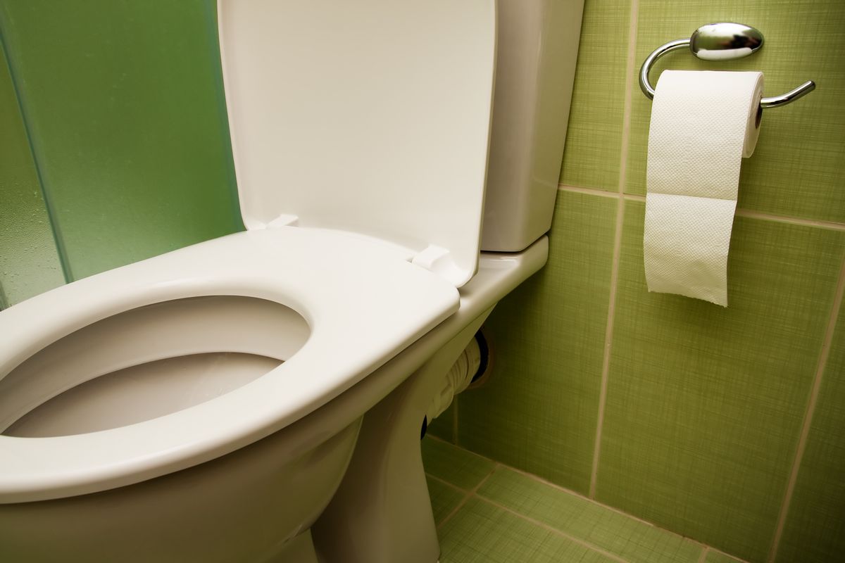  Toilet seat  (Shutterstock/Dundanim)