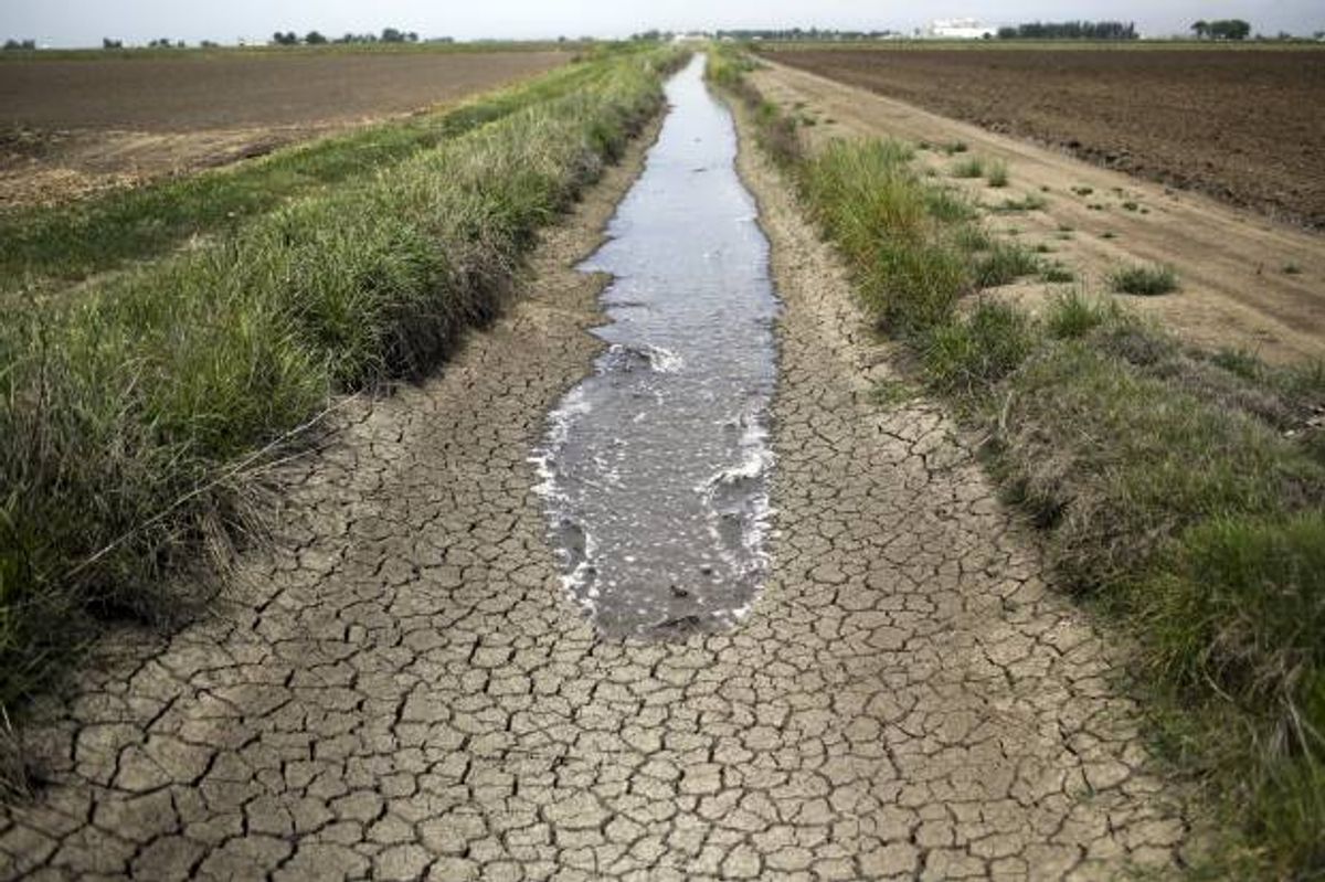 FILE - In this May 1, 2014 photo, irrigation water runs along a dried-up ditch between rice farms in Richvale, Calif.  (AP/Jae C. Hong)