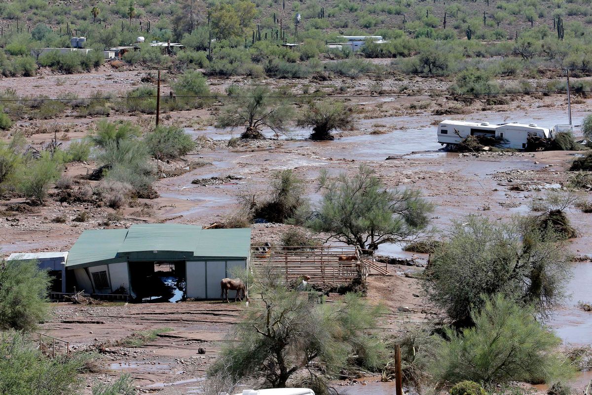 A horse waits to be evacuated in an area where  flash flood waters overran Skunk Creek, Tuesday, Aug. 19, 2014, in New River, Ariz., just northwest of Phoenix. (AP Photo/Matt York)  (AP)