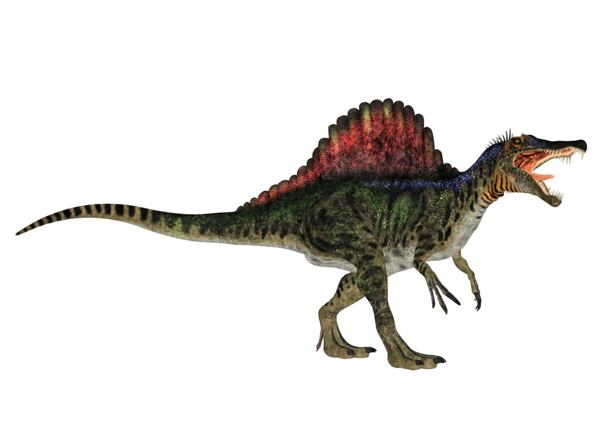 Spinosaurus (<a href='http://www.shutterstock.com/gallery-81948p1.html'>Sofia Santos</a> via <a href='http://www.shutterstock.com/'>Shutterstock</a>)