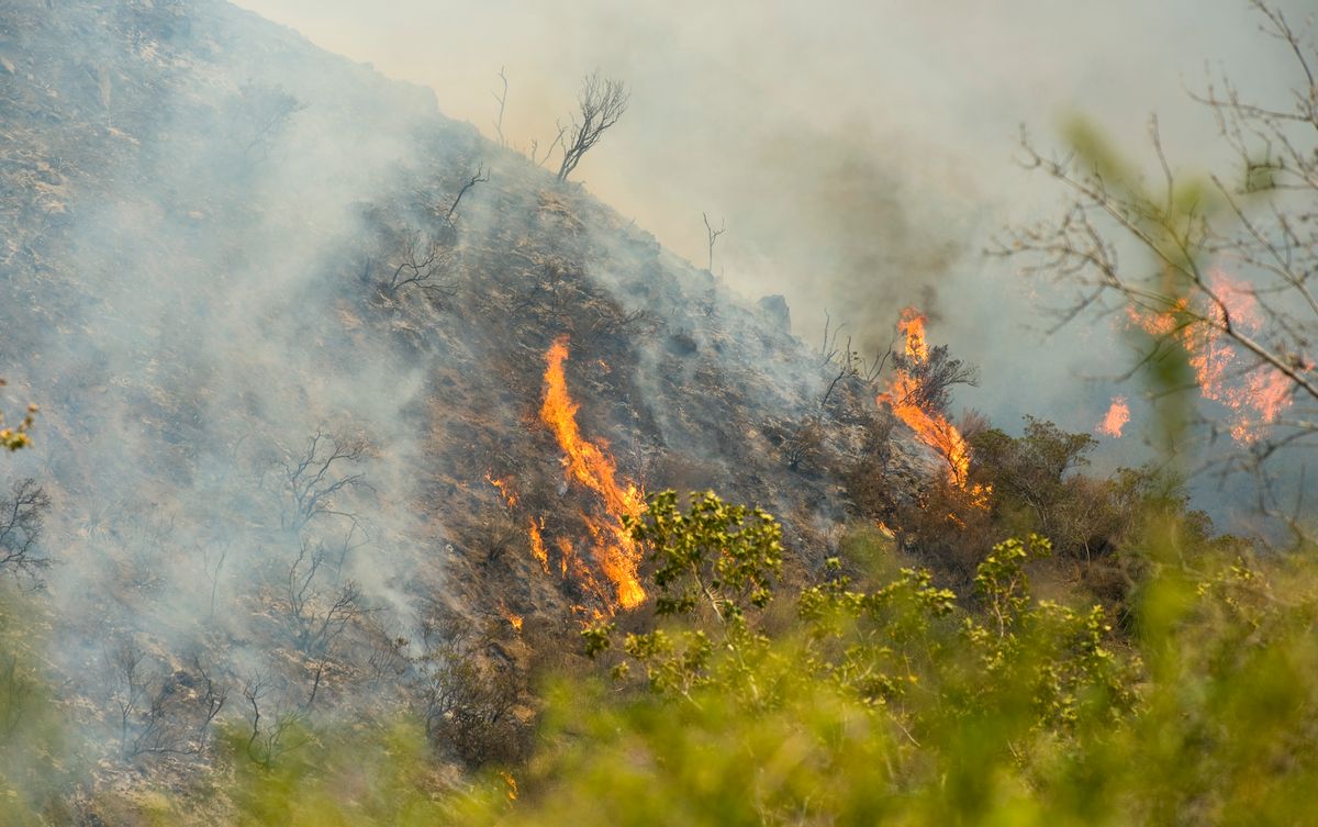Flames burn a steep canyon in Silverado Canyon in Orange County, Calif. on Friday, Sept. 12, 2014.  (AP/Orange County Register, Sam Gangwer)
