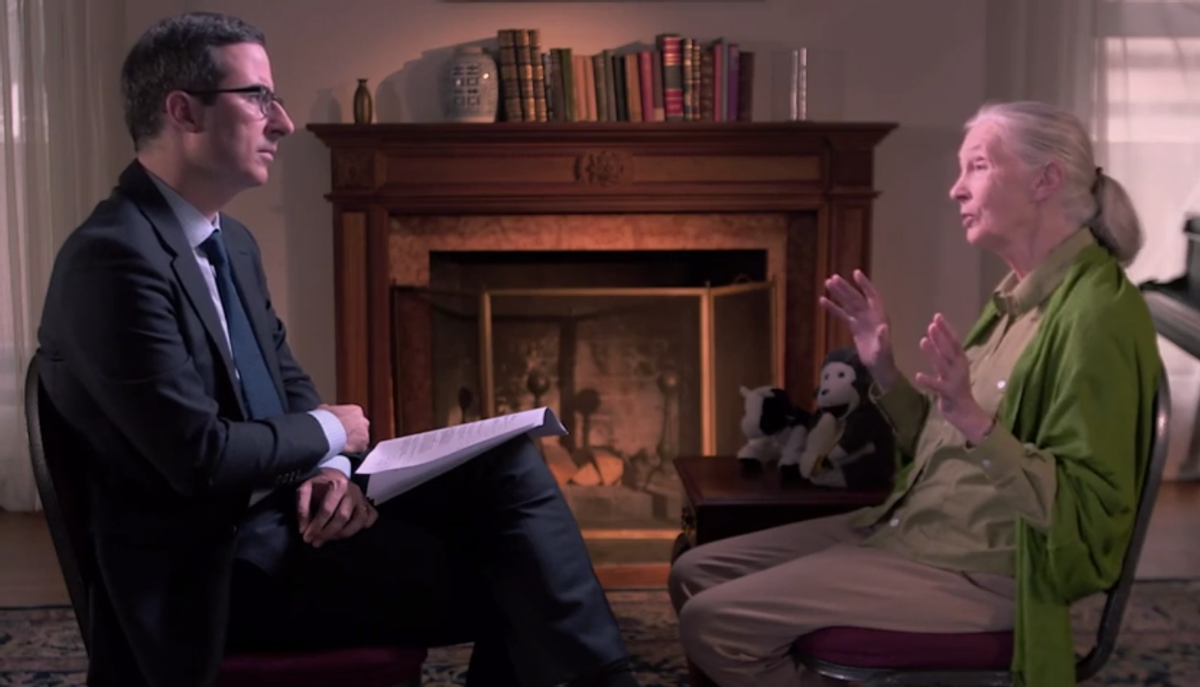  John Oliver interviews Dr. Jane Goodall on "Last Week Tonight"   (HBO)