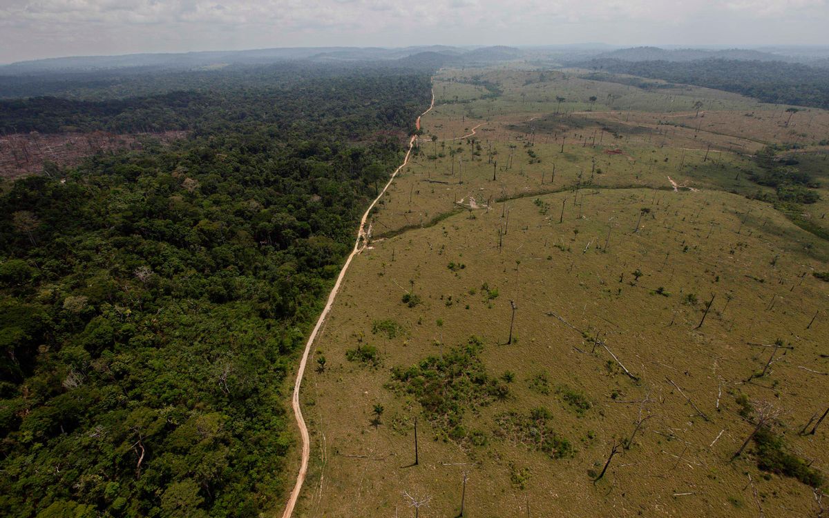 FILE - In this Sept. 15, 2009 file photo, a deforested area is seen near Novo Progresso, in Brazil's northern state of Para. (AP Photo/Andre Penner, file) (AP)