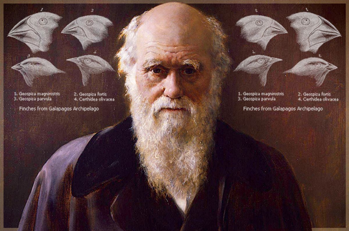 Charles Darwin    (Wikimedia/Salon)