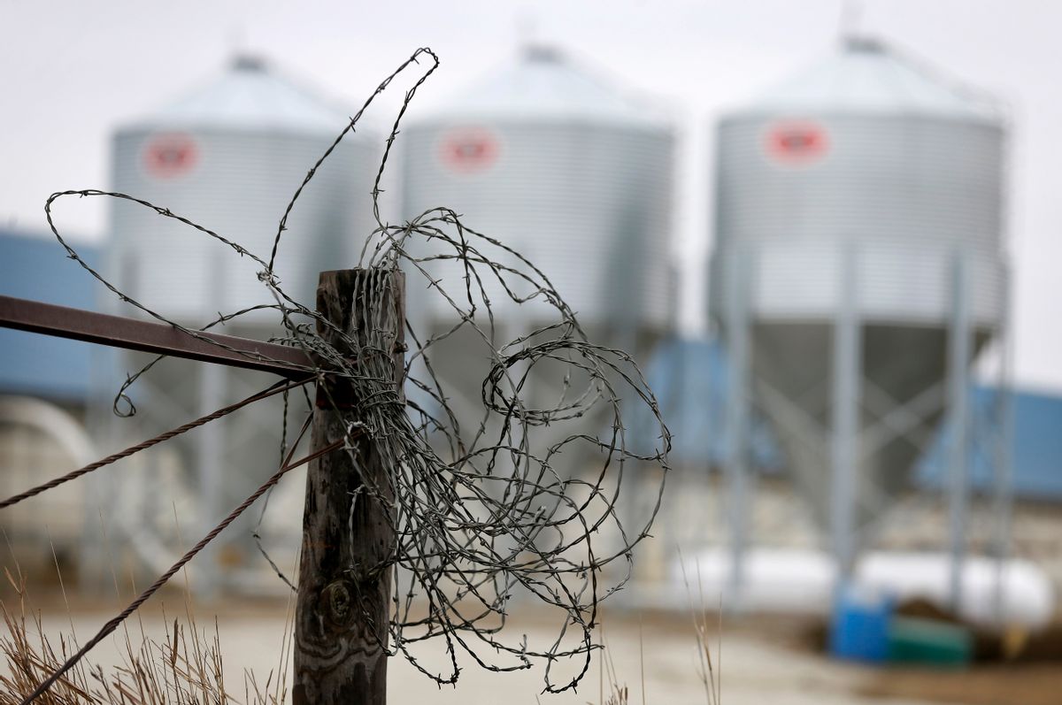 In this Thursday, Jan. 22, 2015 photo, barbwire hangs bundled up on a fence post near a hog confinement facility, near Orient, Iowa.  (AP Photo/Charlie Neibergall)