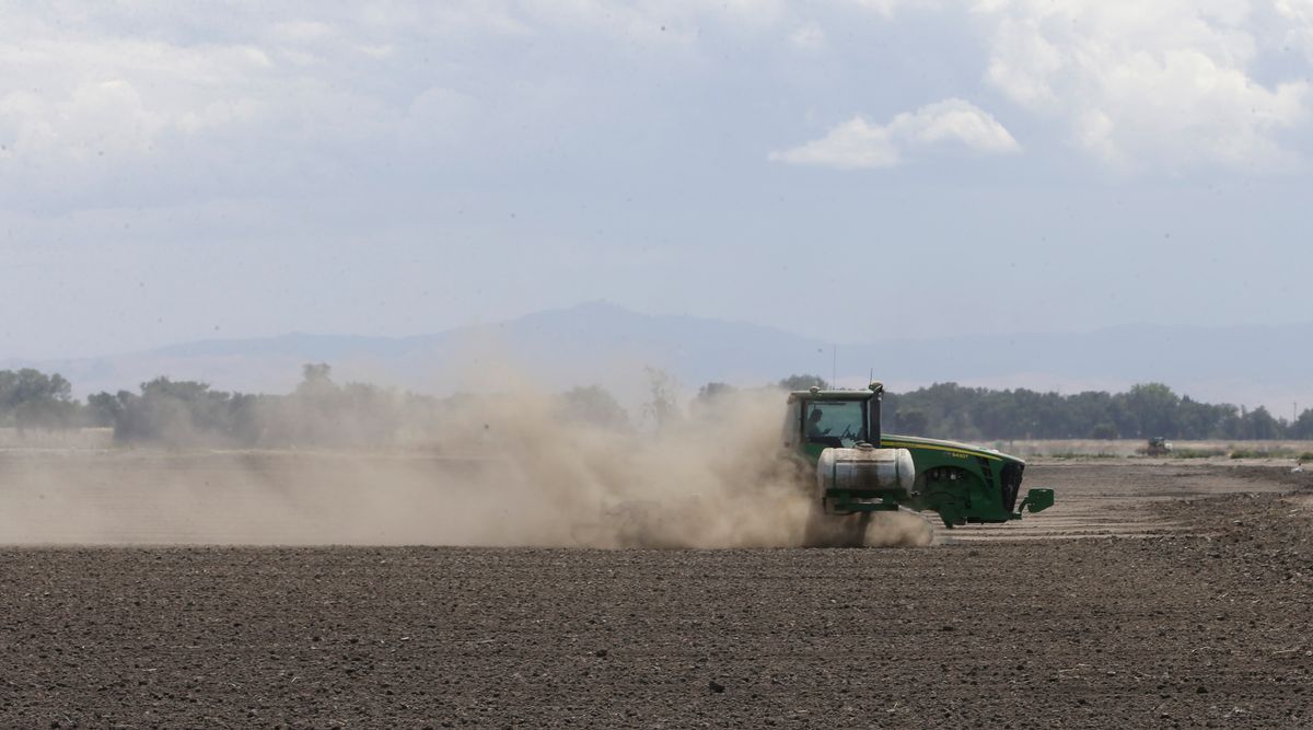 In this photo taken Monday, May 18, 2015, a tractor tills the dry land on the acreage  farmed by Gino Celli, near Stockton, Calif. Celli, who farms 1,500 acres of land and manages another 7,000 acres, has senior water rights and draws irrigation water from the Sacramento-San Joaquin River Delta.  Farmers in the Sacramento-San Joaquin River Delta who have California's oldest water rights are proposing to voluntarily cut their use by 25 percent to avoid the possibility of even harsher restrictions by the state later this summer as the record drought continues. (AP Photo/Rich Pedroncelli)  (AP)