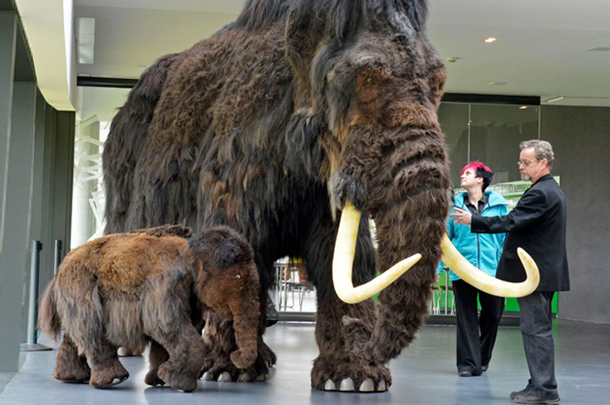 Mammoth reproductions in the visitors' center Ark Nebra in Nebra, Germany, March 29, 2012.       (AP/Jens Meyer)