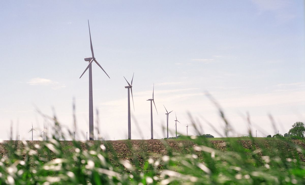 This undated photo made available by Iberdrola Renewables LLC shows wind turbines on a corn and soybean farm in Trimont, Minn. The company will be building a similar commercial-scale wind energy farm near the coast community of Elizabeth City, N.C. (Iberdrola Renewables LLC via AP) (AP)