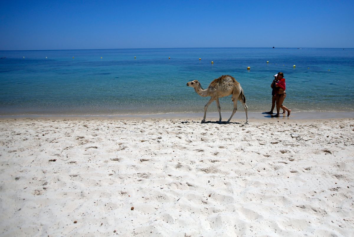 FILE - In this June 28, 2015 file photo, tourists and a baby camel walk on a beach in front of the Imperial Marhaba Hotel in Sousse, Tunisia. The blood on the sand has washed away, but the damage wreaked on Tunisia by a few terrifying minutes of gunfire at a beach resort will be deep and lasting. The tourist economy is likely to be gutted: Up to 2 million hotel nights per year are expected to be lost, hastened by warnings from Britain and other European governments last week that their citizens are no longer safe on . (AP Photo/Darko Vojinovic, File) (AP)
