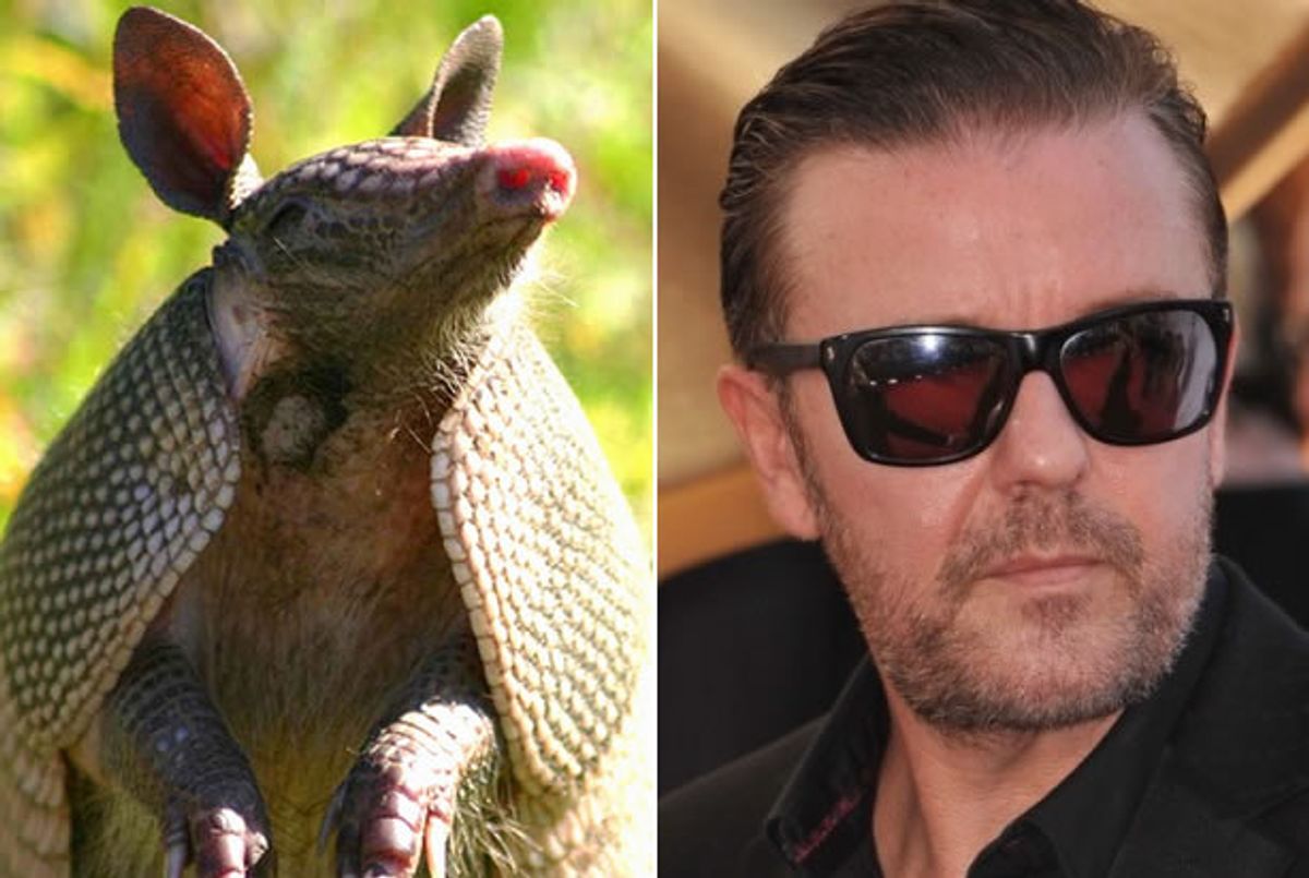  Armadillo, Ricky Gervais (Credit: <a href="https://www.flickr.com/photos/myfwcmedia/12988547315/" target="_blank">Florida Fish and Wildlife/Flickr</a>, <a href="http://www.shutterstock.com/gallery-842245p1.html?cr=00&pl=edit-00" target="_blank">Featureflash</a>/<a href="http://www.shutterstock.com/?cr=00&pl=edit-00" target="_blank">Shutterstock</a>)  