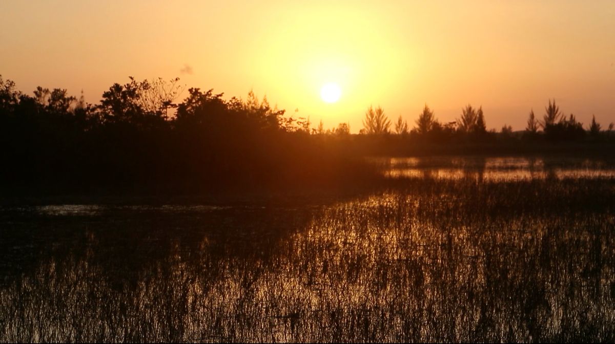In this image made from video, the sun sets near an industrial park next to the Florida Everglades, Tuesday, Feb. 23, 2016, in Miami. (AP Photo/Wilfredo Lee) (AP)