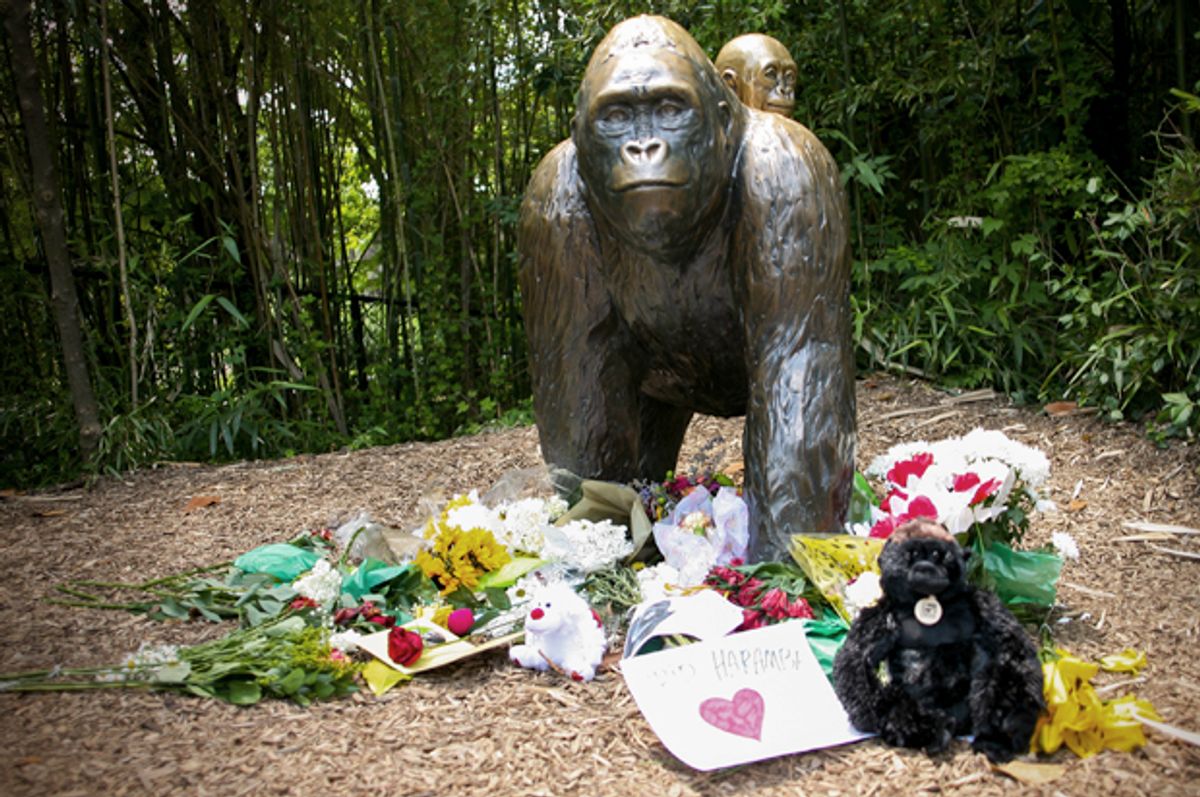 Flowers lay around a bronze statue of a gorilla and her baby at the Cincinnati Zoo, May 30, 2016.    (Reuters/William Philpott)