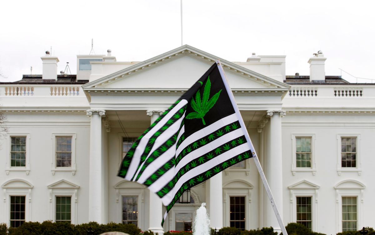FILE - In this April 2, 2016 file photo, a demonstrator waves a flag with marijuana leaves on it during a protest calling for the legalization of marijuana, outside of the White House in Washington. Six states that allow marijuana use have legal tests for driving while impaired by the drug that have no scientific basis, according to a study by the nations largest automobile club that calls for scrapping those laws. ( AP Photo/Jose Luis Magana, File) (AP)
