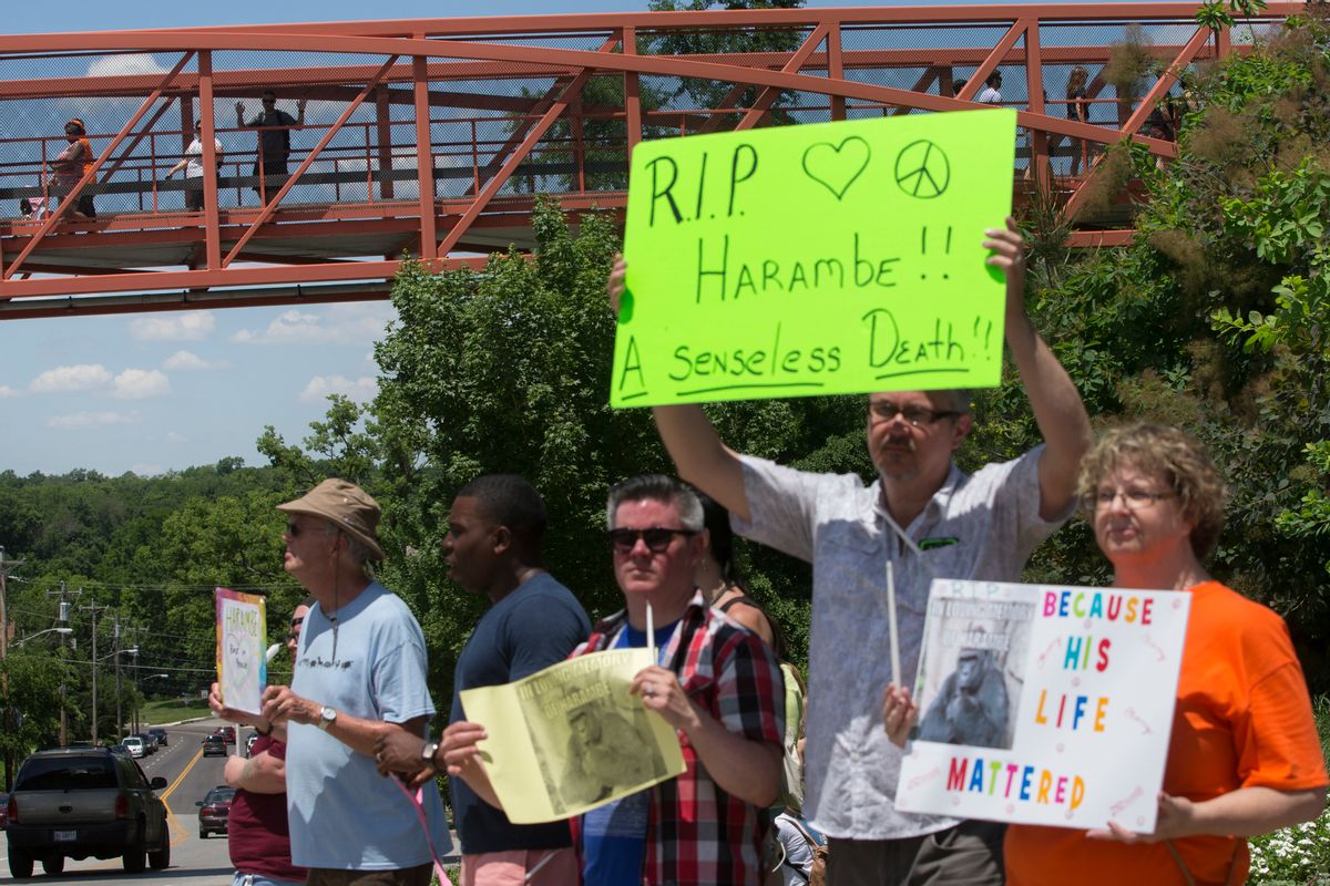 Zoo visitors look at protestors and mourners from a walk bridge during a vigil for the gorilla Harambe outside the Cincinnati Zoo &amp; Botanical Garden, Monday, May 30, 2016, in Cincinnati. Harambe was killed Saturday at the Cincinnati Zoo after a 4-year-old boy slipped into an exhibit and a special zoo response team concluded his life was in danger. (AP Photo/John Minchillo) (AP)