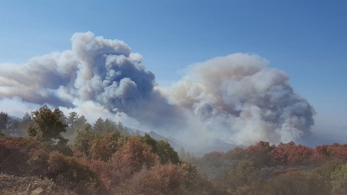 This photo provided by California Department of Forestry and Fire Protection shows smoke billowing from a wildfire near Lake Nacimiento in San Luis Obispo County, Calif., Saturday, Aug. 20, 2016. (California Department of Forestry and Fire Protection via AP) (AP)