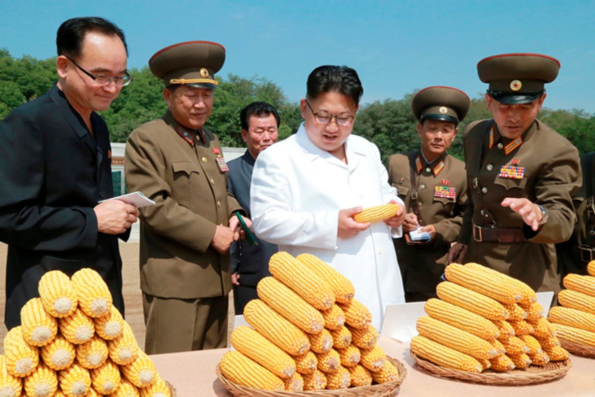 North Korean leader Kim Jong Un provides field guidance to Farm No. 1116 under KPA Unit 810, in this undated photo released by North Korea's Korean Central News Agency (KCNA) in Pyongyang. (Reuters)