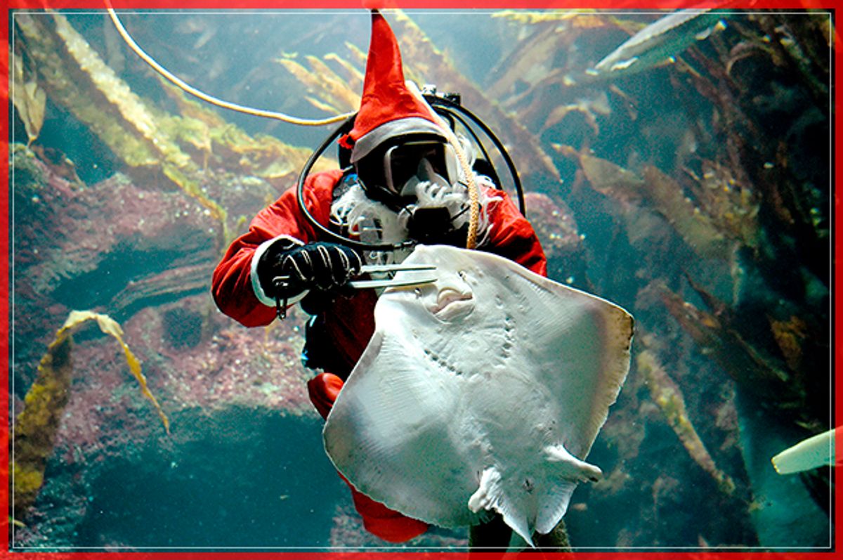 A diver in a Santa Claus costume feeds a ray at the Multimar Wattforum aquarium in Toenning, northwestern Germany, on December 2, 2016. / AFP / dpa / Carsten Rehder / Germany OUT        (Photo credit should read CARSTEN REHDER/AFP/Getty Images) (Afp/getty Images)
