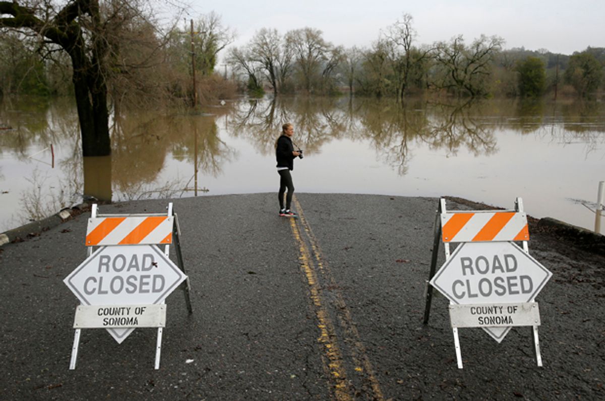 Michelle Wolfe, who had to evacuate her nearby mobile home, looks out toward flooded vineyards in the Russian River Valley, Monday, Jan. 9, 2017, in Forestville, Calif.   (AP/Eric Risberg)
