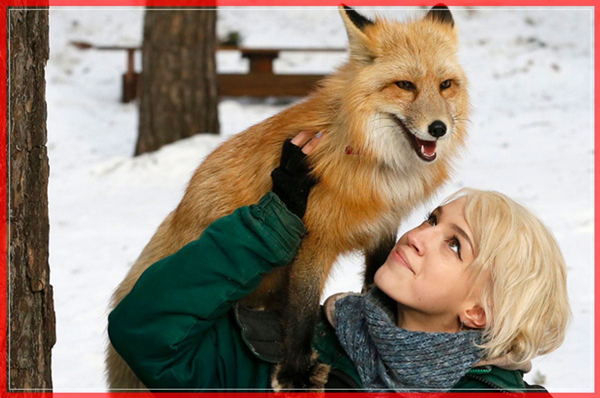 Zoo employee Vlada Zapolskaya walks with Ralf, an 11-month-old red fox, during a training session which is a part of a programme of taming wild animals for research and interaction with visitors at the Royev Ruchey Zoo in Krasnoyarsk, Siberia, Russia February 8, 2017. Ralf was born at the Institute of Cytology and Genetics (ICG) in Novosibirsk, which experimented on fox domestication through long-term selection and breeding for more than 50 years, according to zoo representatives. REUTERS/Ilya Naymushin - RTX305ZW (Reuters)
